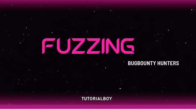 A Summary of Fuzzing Tools and Dictionaries For Bug Bounty Hunters